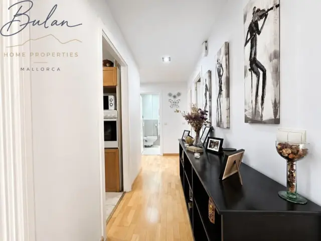 Apartment on Carrer de Francesc Martí i Mora photo 11