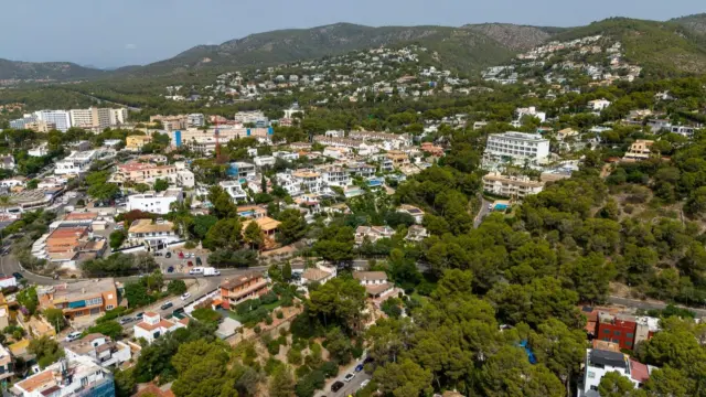 Villa in Portals Nous - Bendinat photo 50