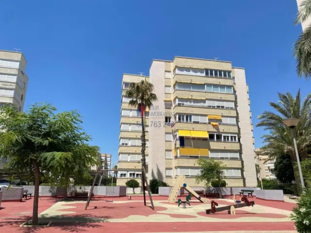 Apartment at Prof. Rafael Casasempere Street, No. 1
