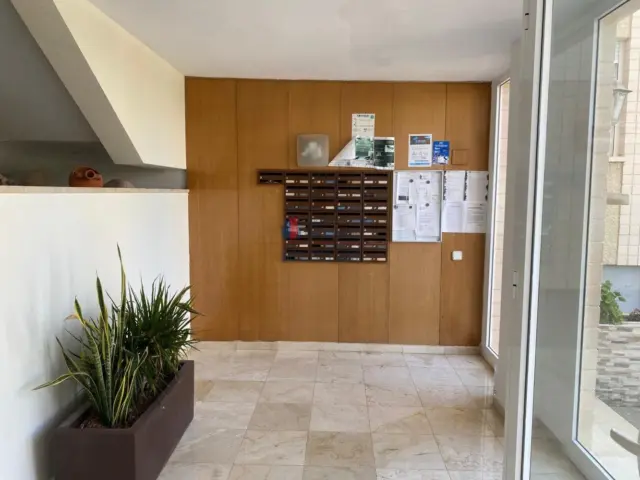 Apartment at Prof. Rafael Casasempere Street, No. 1 photo 25
