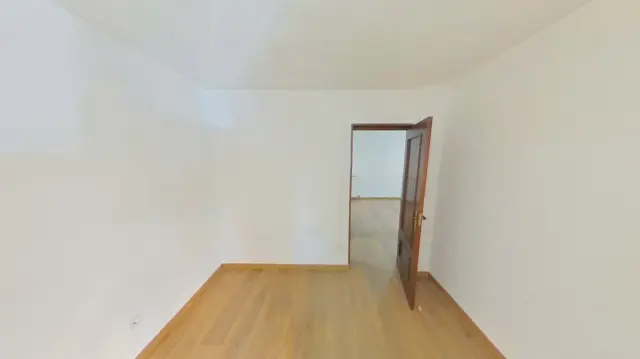 Apartment in Almendrales photo 12