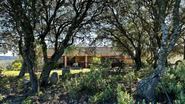 Rustic Finca in Pino Alto - Navarredonda