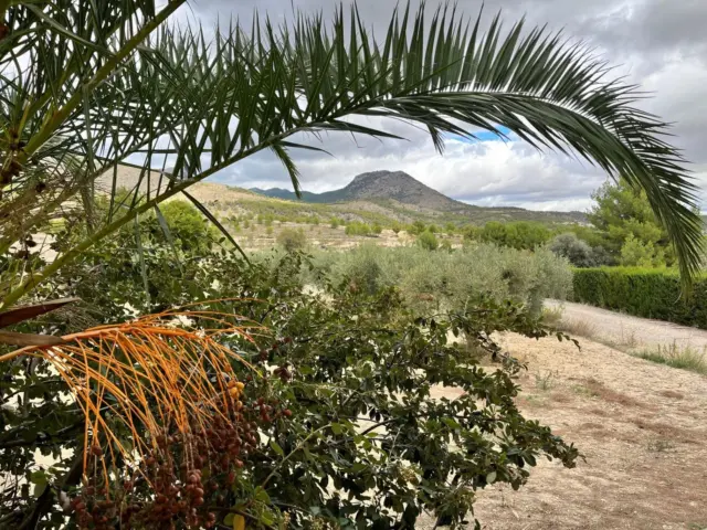 Rustic Finca on Calle Vial