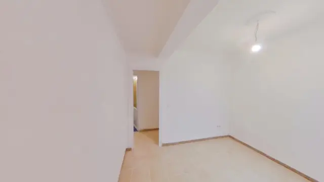 Apartment in La Creu Coberta photo 15