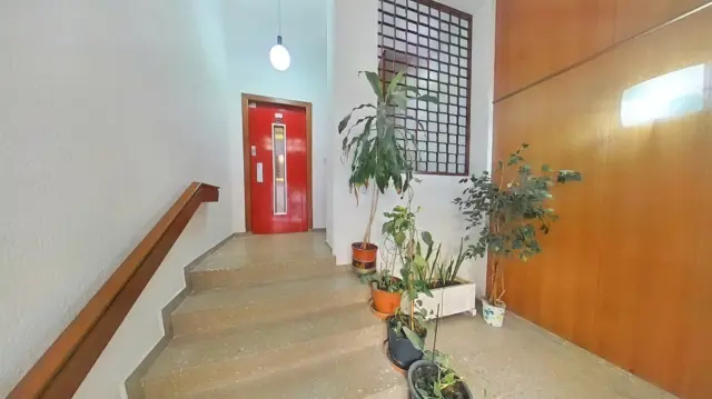 Flat in Benalúa photo 20