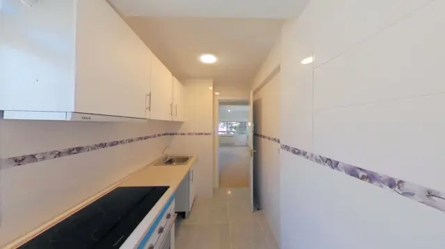 Flat in Casco Antiguo photo 20