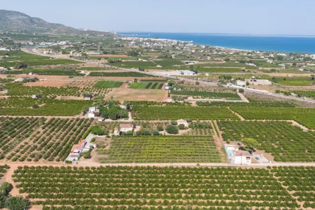 Rustic Finca in Alcanar