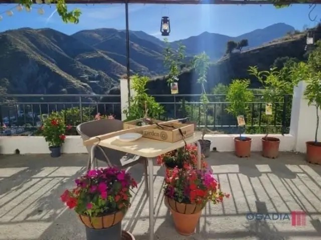 Rustic finca in Vega de Granada, South Zone photo 3