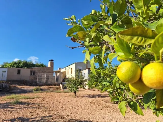 Rustic farm on Calle Solana La