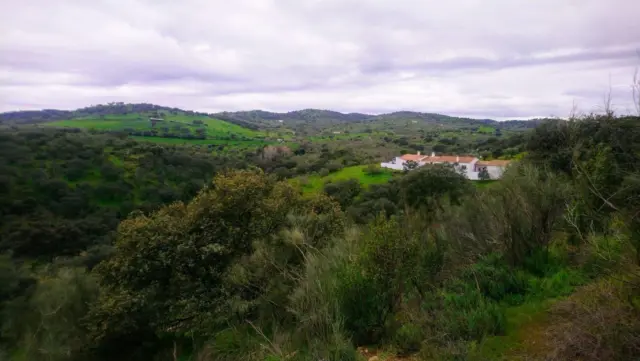 Rustic finca in Andalucia