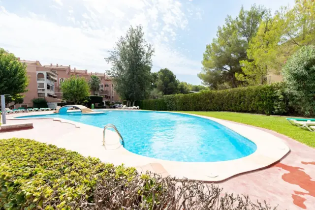 Apartment in Carrer dels Pins photo 34