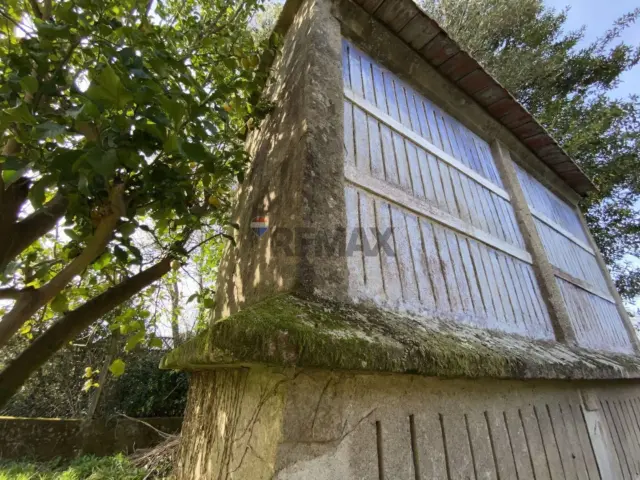 Rustic Finca on Vilar Street
