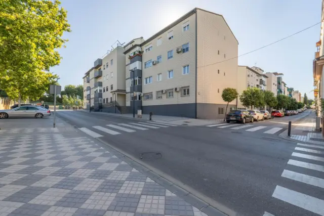 Apartment on Blasco Ibáñez Street, 20