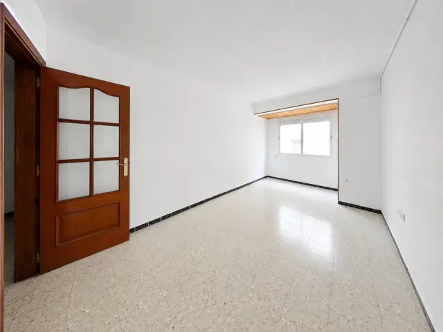 Apartment in Sant Pere Nord photo 3