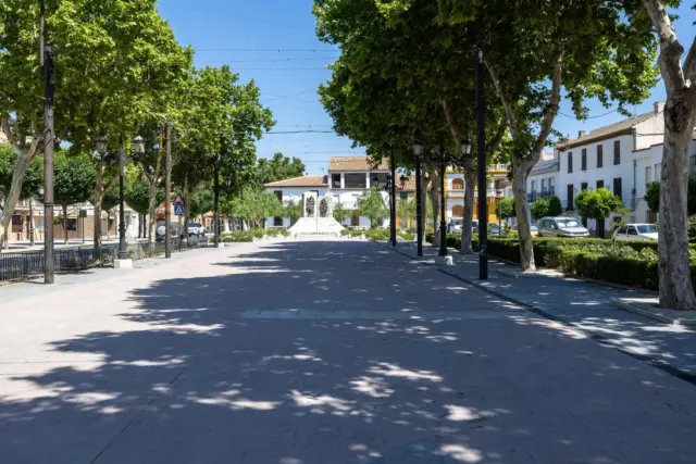 House in Vega de Granada, Northwest Zone