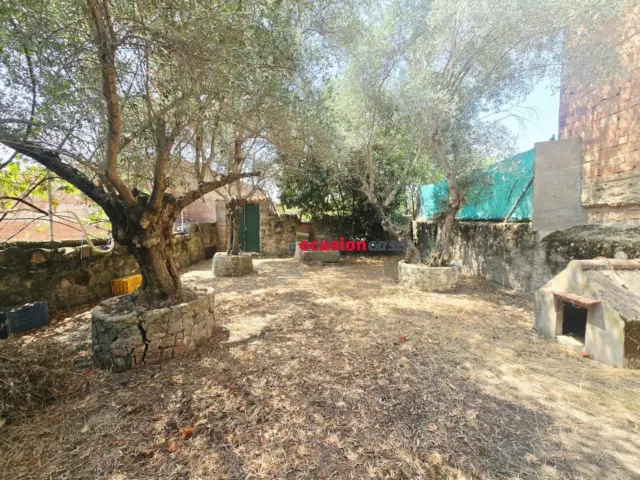 House in Pedroche photo 8