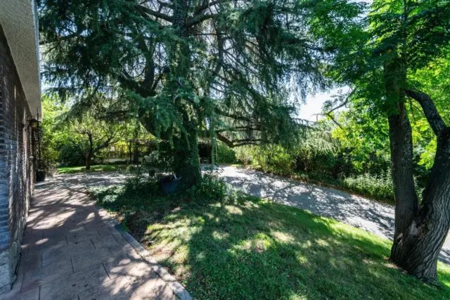 Chalet in Las Lomas