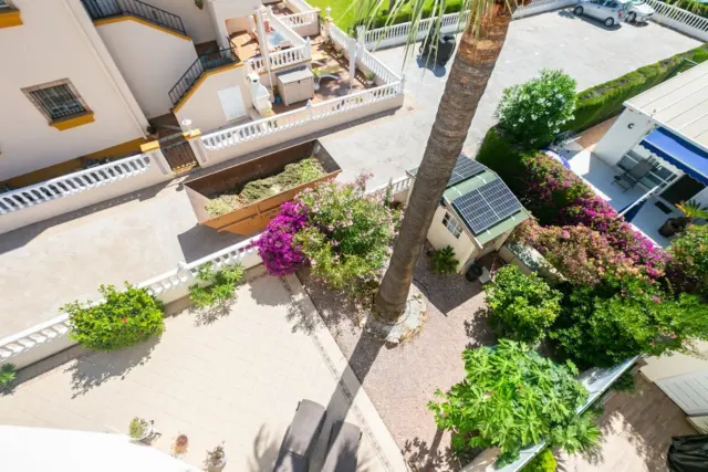 Top-floor apartment in Playa Flamenca Norte photo 47