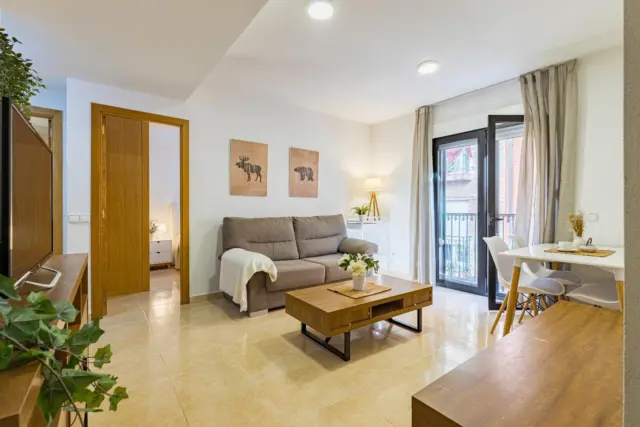 Apartment in the City Centre