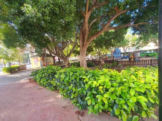 Apartment in Santa Catalina