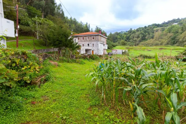 House in Barrio de Rubias photo 5