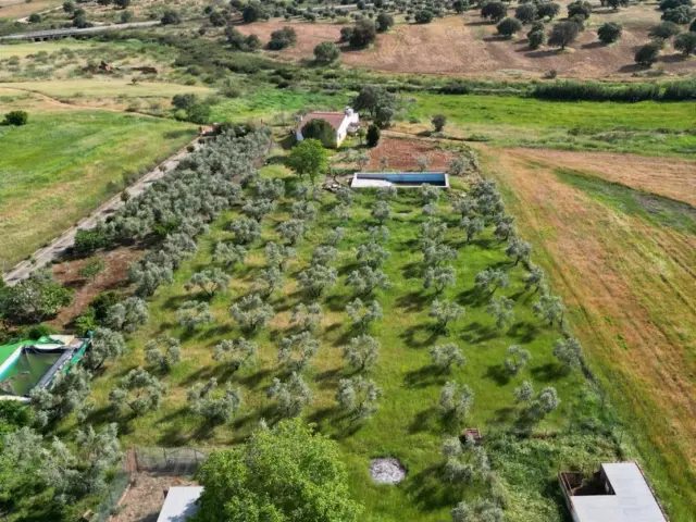 Rustic Finca in Andalucia