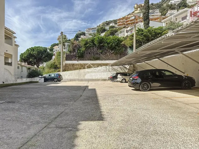 Apartment in Port Esportiu-Canyelles-Puig Rom photo 21