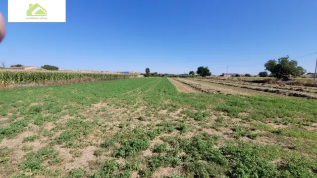 Finca rústica en Pinilla