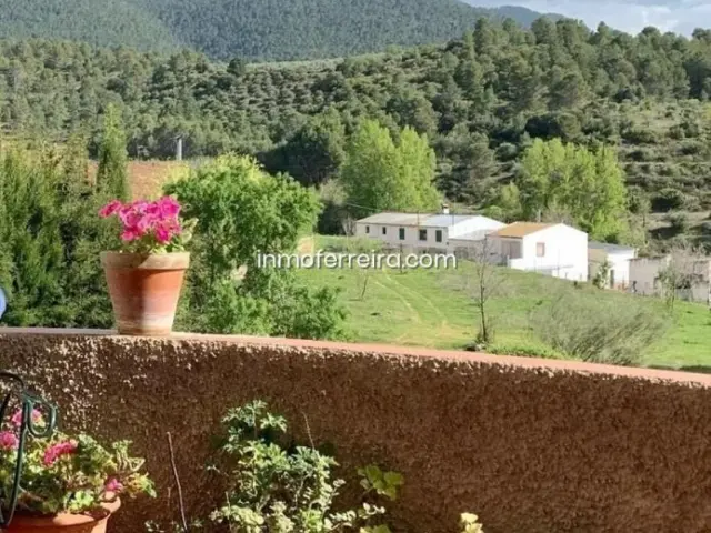 Chalet in Andalusia photo 30