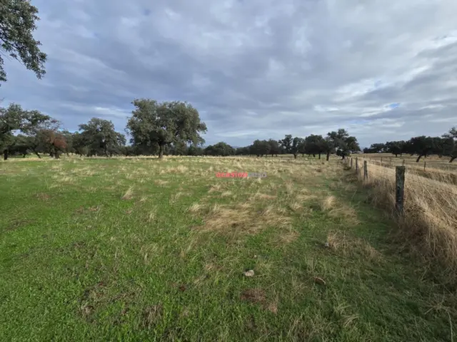 Rustic farm in Andalusia photo 2