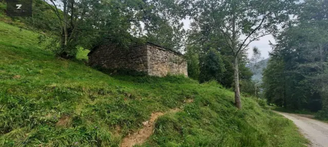 Rustic Farm in Centro