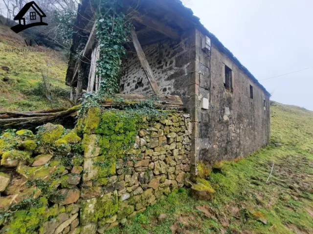 Rustic Finca in Vegalosvados