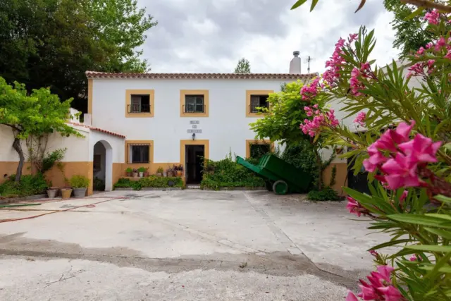 Finca rústica en calle Molino Turruquena photo 5