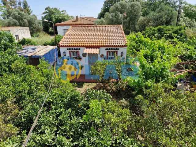 Rustic Finca in Trigueros