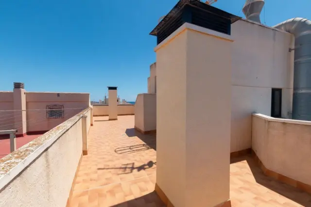 Apartment in La Mata Pueblo photo 21