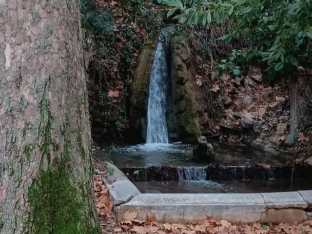 Rustic finca on Calle La Tercia de Singla