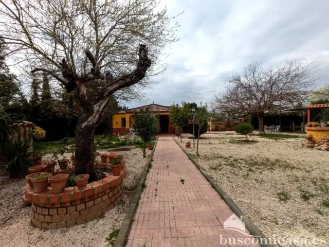 Rustic finca on Llanos de La Encina street photo 3