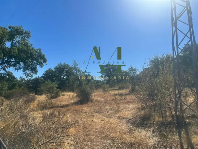 Finca rústica en Carretera de Merida