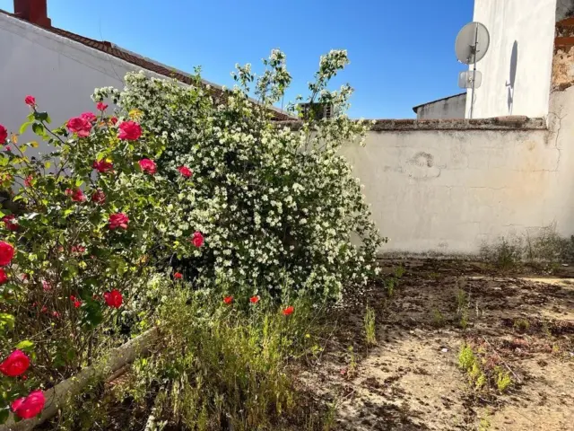 Flat on Manuel Arribas Carrillo Street