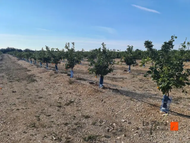 Finca rústica en Montsià
