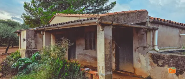 Rustic Finca in Rústica photo 3
