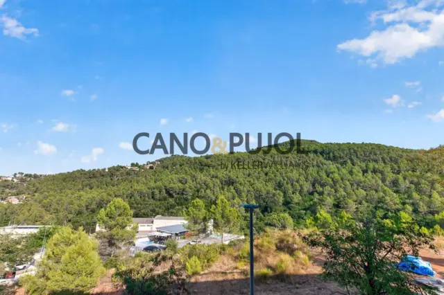 Apartment in Corbera de Llobregat photo 19