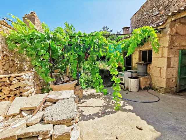 House in Santa Margalida Pueblo