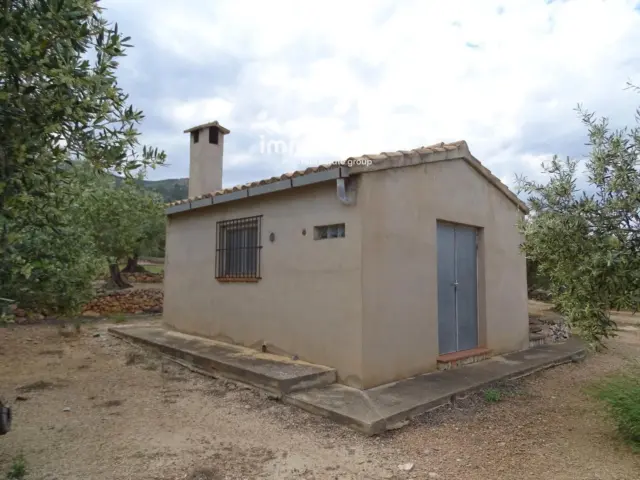 Rustic Finca in Xerta photo 2
