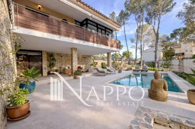 Villa in Costa de La Calma photo 5