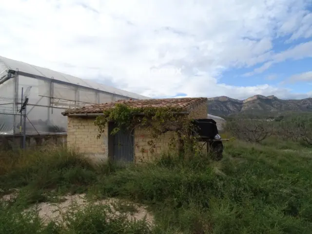 Rustic farm in El Pinell de Brai