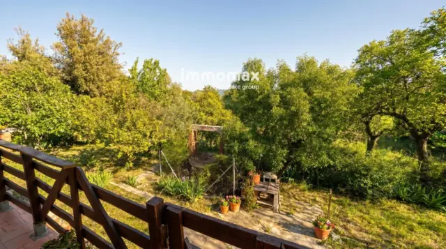 Chalet in La Sagrera photo 4
