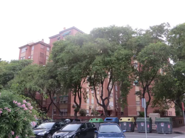 Flat on Calle Villa de Letur