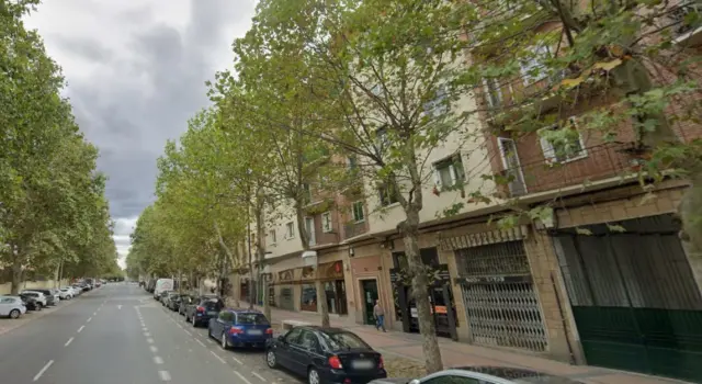 Piso en Avenida de la Constitución