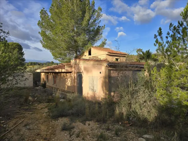 House on Partida Caseta Street